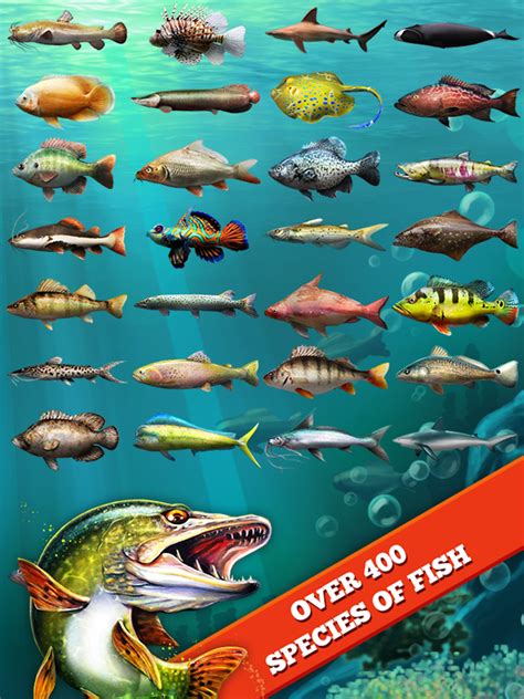 fish games app|Let's Fish:Sport Fishing Games 12+ .